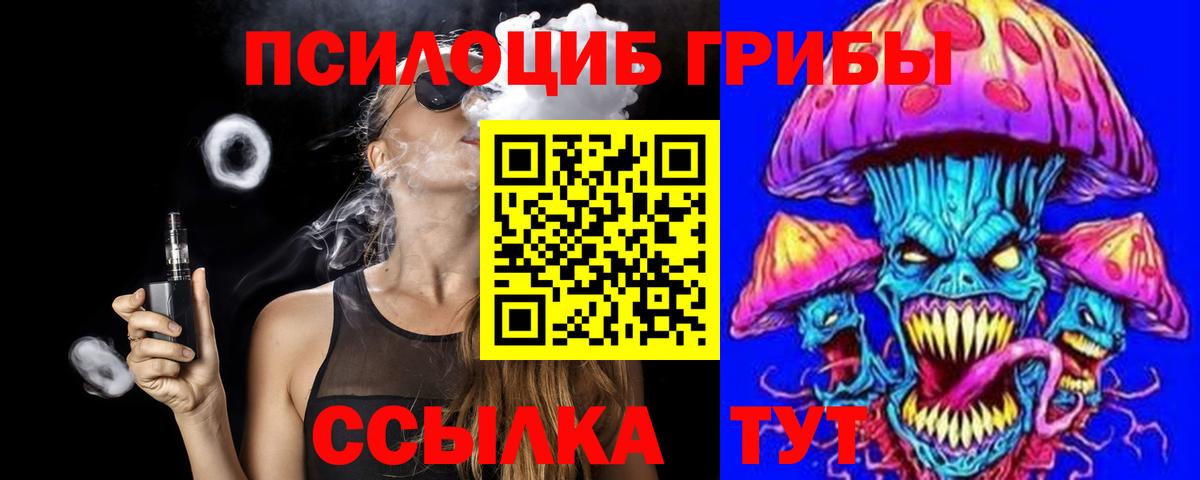 Электросталь  Галлюциногенные грибы MAGIC MUSHROOMS  хочу наркоту  Вход с VPN 